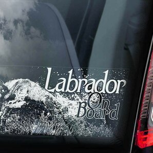 ◆ラブラドール・レトリバー D4@外張り カーステッカー 22×10cm 外貼り カー ステッカー ウインドウ シール@ラブラドールレトリバー 犬 車
