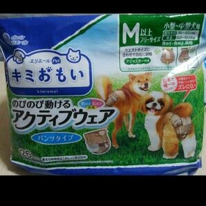 エリエール☆おまけ付き☆アクティブウェア パンツタイプ【M以上フリーサイズ】 マナーウェア