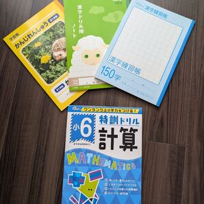 小6 特訓ドリル 計算 おまけつき!