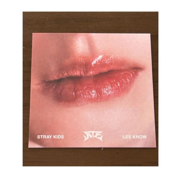 Stray Kids ATE アコーディオン リノ リップカード
