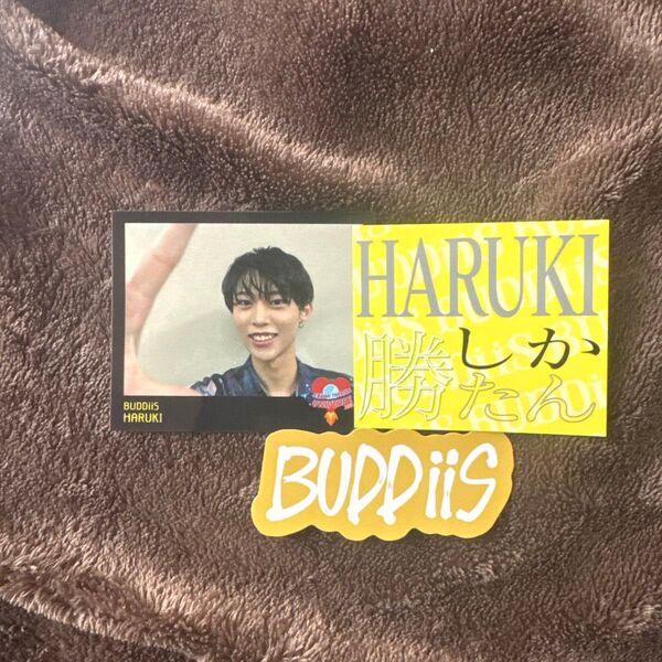 BUDDiiS HARUKI ステッカーセット