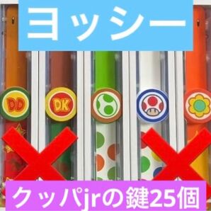 パワーアップバンド ヨッシー鍵25個 USJユニバ スーパーニンテンドーワールド