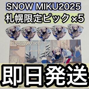 雪ミク BIGBOSS ピック 札幌限定 ESP 5個セット