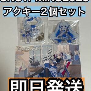 雪ミク BIGBOSS アクキー ESP 2025