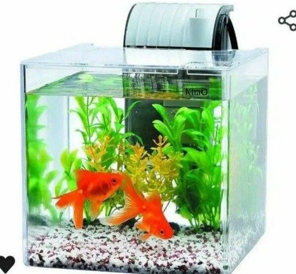 テトラ 静かな金魚飼育セット
