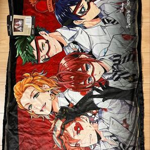 ひざ掛け 新品未使用 寮別 ブランケットハーツラビュル 冬 防寒対策 プレゼント 同人