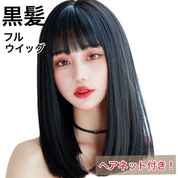 ウィッグ かつら セミロング ストレート ふる フルウィッグ 黒髪 ブラック 黒 前髪 コスプレ 仮装 余興 発表会 イメチェン