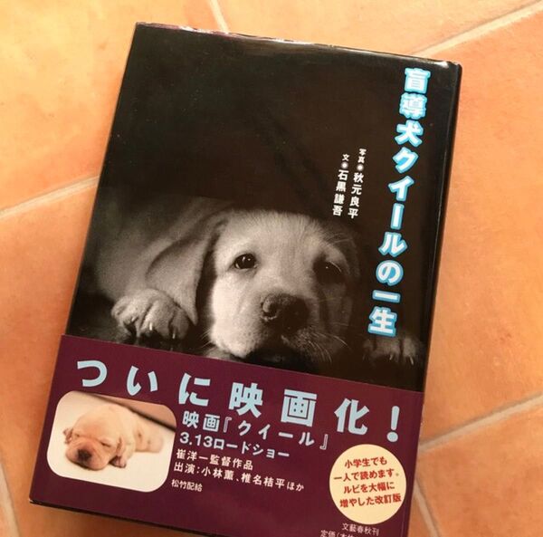 used 中古 盲導犬クイ-ルの一生 読書感想文 読書時間に