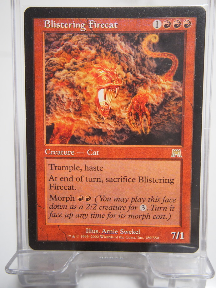 未使用 オンスロート 焦熱の火猫 Foil 2025年最新】Yahoo!オークション -firecat(Magic: The Gathering