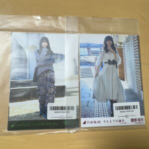 乃木坂46 5種生写真 それまでの猶予 相対性理論に異議を唱える 菅原咲月