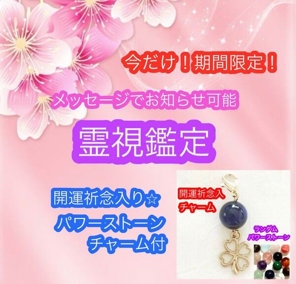 《期間限定価格》霊視鑑定 お悩み1件 鑑定書&開運祈念入りチャームおひとつ 付