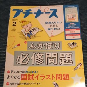 プチナース