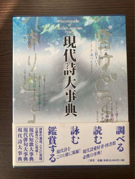 現代詩大辞典 新品未使用品 【値下げ交渉可能】