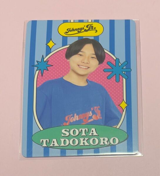 【新品未開封匿名発送】田所蒼大 プロフィールカード 1枚