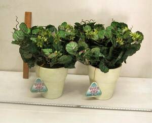 ! зеленый организовать ваза имеется,2 шт .,, шелк аранжировка * искусственный цветок * изображение справка *