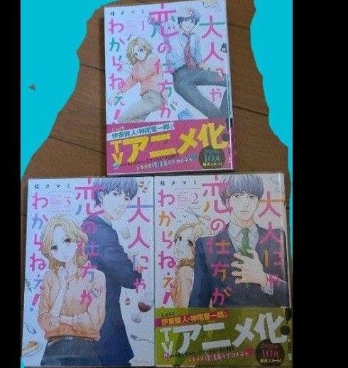 大人にゃ恋の仕方がわからねぇ! 123