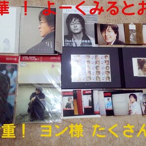 ヨン様 セット 写真集 ファイル 韓流 韓国ドラマ ペ・ヨンジュン