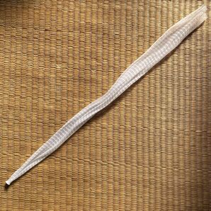 ネット みかんネット 石鹸用 保存袋 長さ35㎝