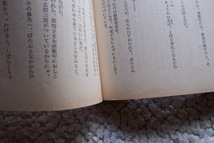 人形佐七捕物帳全集5 春宵とんとんとん (春陽文庫) 横溝正史 1997年新装版4刷_画像9