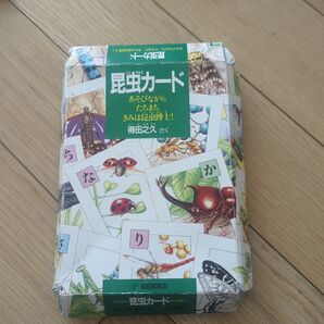 昆虫カード 遊びながらたちまち 君は昆虫博士!