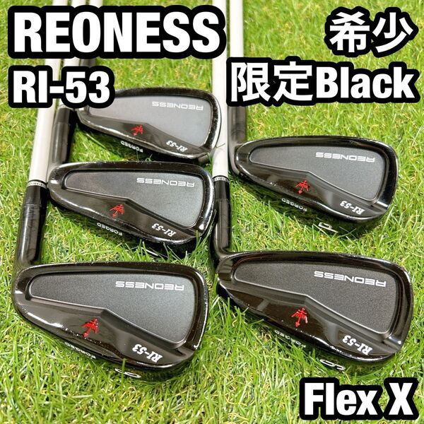 REONESS RI-53 限定Black リオネス アイアンセット ブラック