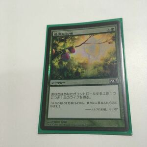 [ＭＴＧ]　[FOIL]　豊潤な収穫　日ｘ１