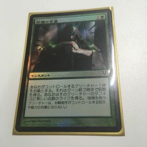 [ＭＴＧ]　[FOIL]　防護の言葉　日ｘ１