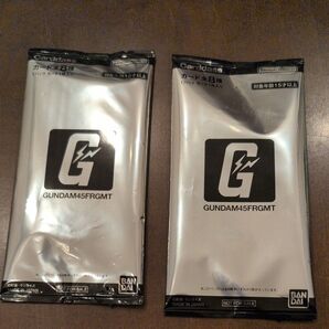 GUNDAM45FRGMT 購入特典 ノベルティ カード カードダス / ガンダム フラグメント fragment gundam