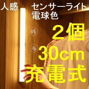 ナイトライト 人感センサーライト 電球色 軽量 30cm 2個セット