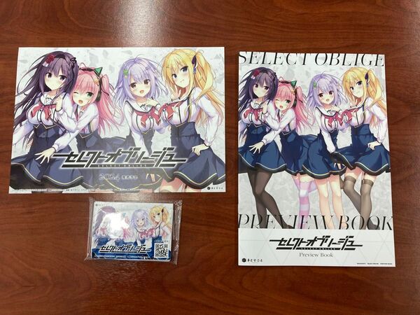 セレクトオブリージュ まどそふと プレリュードブック プレビュート 冊子 ブック