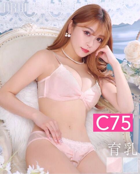 新品★プリンセスリボンガーリー育乳脇高ブラジャー&フルバックショーツC75