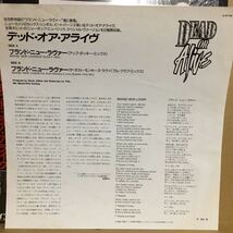 12' 帯 シュリンク付　DEAD OR ALIVE / BRAND NEW LOVER_画像3