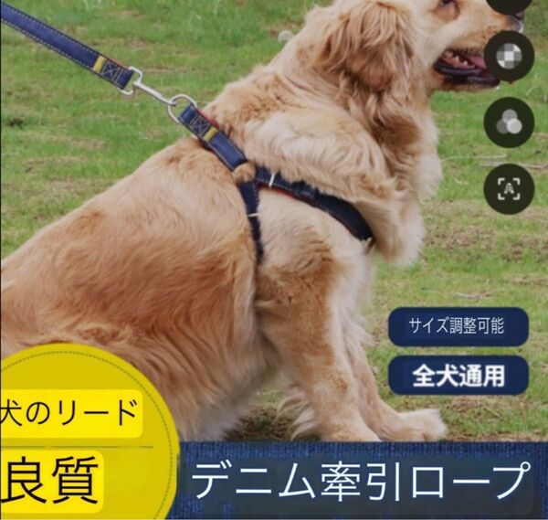 犬用ストラップ付き調節可能な首輪セット お散歩グッズ リード 3m