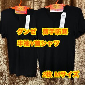 HM23【下着 肌着 インナー】グンゼ メンズ 防寒 温か 半袖V首 M【新品】