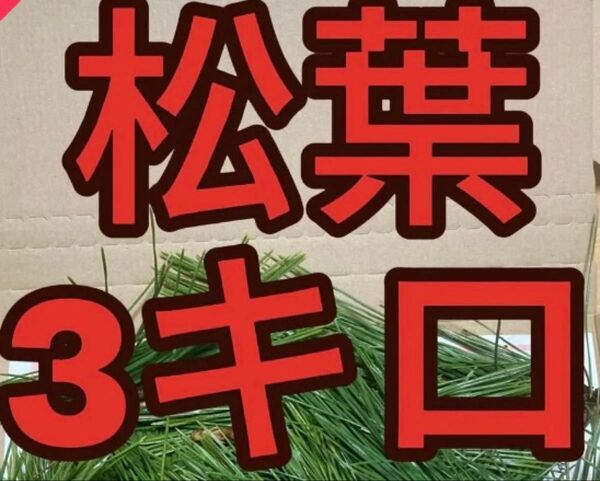黒松3キロ 岡山県産