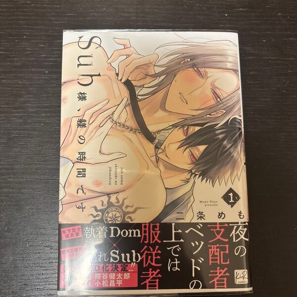 Sub様、躾の時間です 1/二条めも