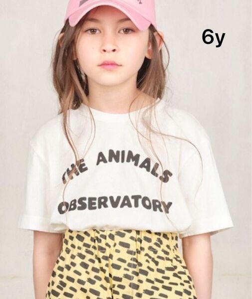 THE ANIMALS OBSERVATORY Tシャツ 2025ss TAO