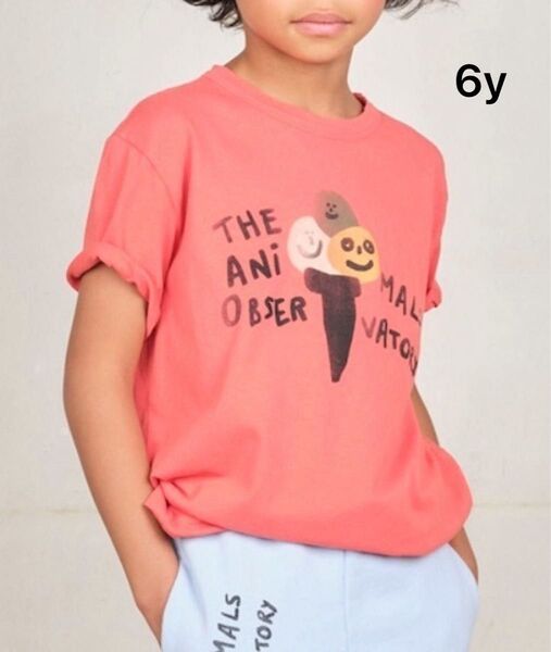 THE ANIMALS OBSERVATORY Tシャツ 2025ss TAO