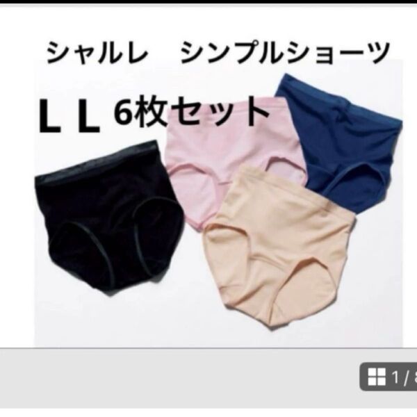 シャルレ シンプルショーツ LL6枚セット
