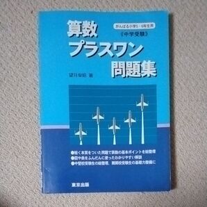 算数/プラスワン問題集 中学受験 望月俊昭/著