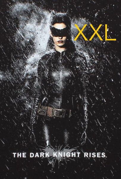 XXL ワコマリア the dark knight trilogy TEE 08