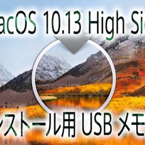 ☆macOS High Sierra(10.13) インストール用高速USBメモリー☆Apple