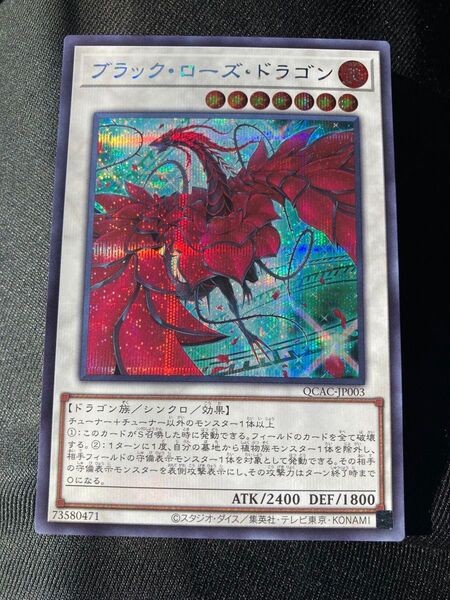 遊戯王 ブラックローズドラゴン 絵違い イラスト違い