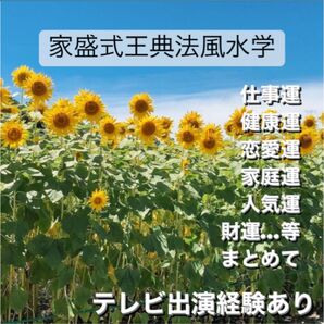★占い★ 家盛式王典法 風水学 九星気学 血液型