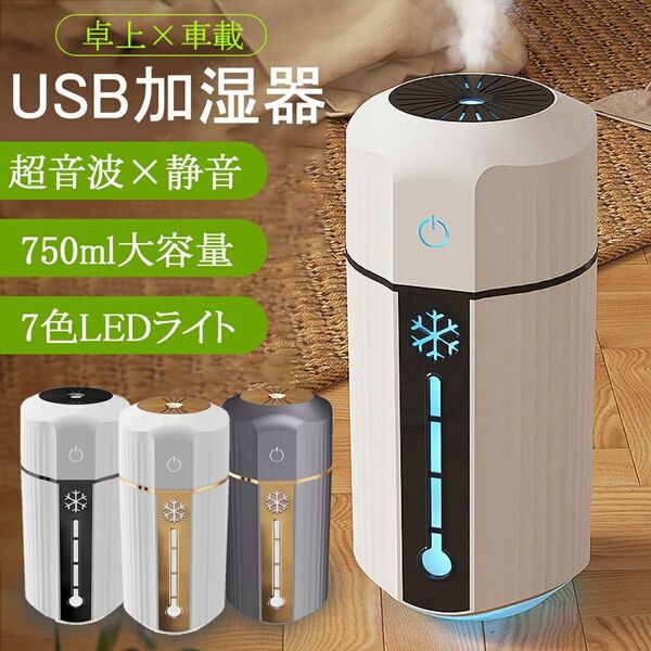 加湿器 卓上LEDライト USB 750ml 小型加湿器 USB加湿器 車載加湿器 省エネ ミニ加湿器 乾燥対策 花粉対策 静音