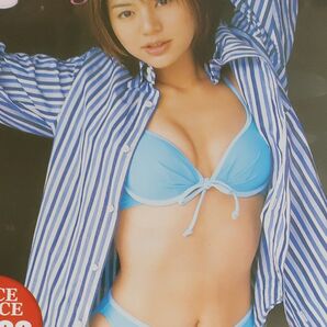 グラビア アイドル イメージ DVD 中古品 : 井川遥 Open Wing グラドル : VEGA