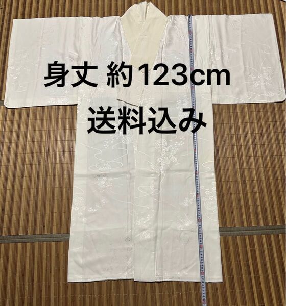 長襦袢 白 菊 身丈123cm