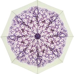 Harrods ハロッズ 折りたたみ傘 アリウム / Allium Minilite 傘 雨傘 花柄