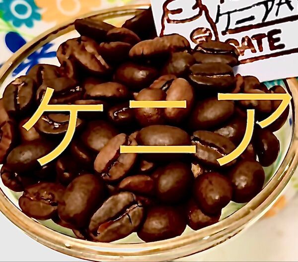 Qグレード トップレベルの高得点 コーヒー豆 ケニア AA 300g Star Beans YouCoffee