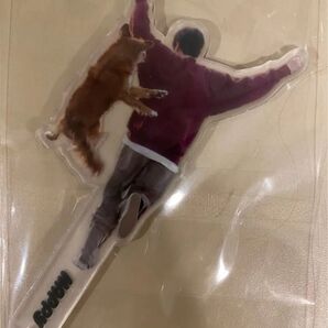 BTS JIN ジン happy センイル プロップ 韓国限定 マスター 新品